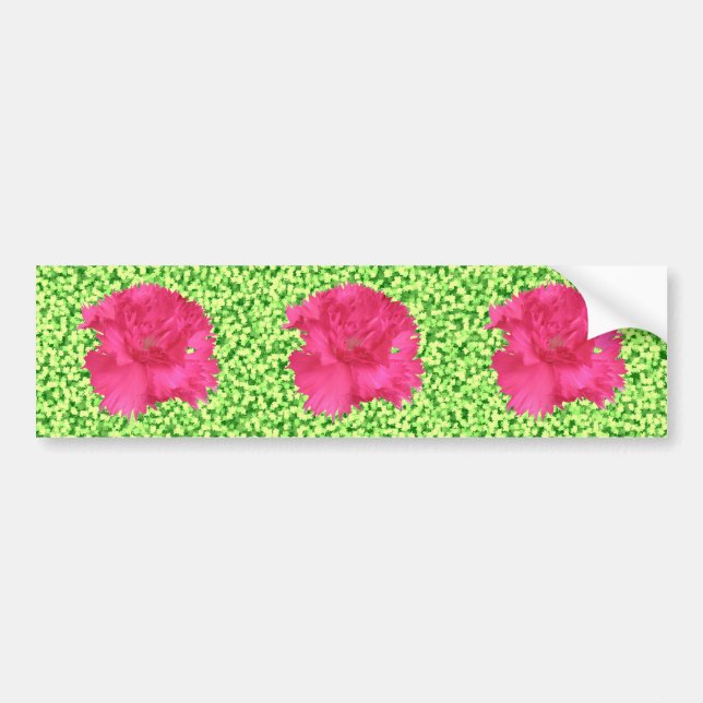 Pegatina Para Coche Pink Carnation Bumper Sticker (Frente)