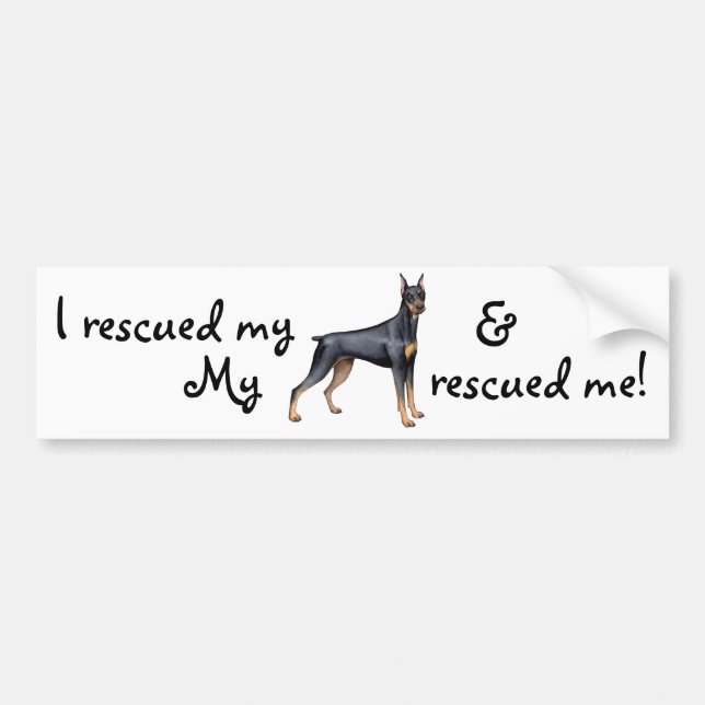 Pegatina Para Coche Pinscher del Doberman del rescate (Frente)