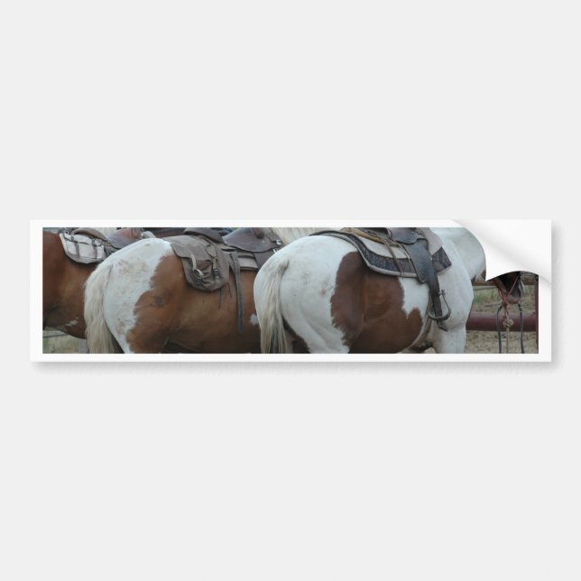 Pegatina Para Coche Pinte la cola del caballo (Frente)
