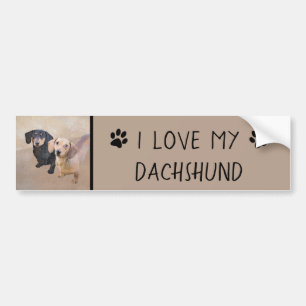 Pegatina Para Coche Pintura Dachshund (suave) - Arte original del perr