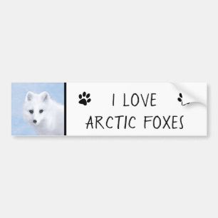 Pegatina Para Coche Pintura de Fox Ártica - Arte de Vida Silvestre Ori