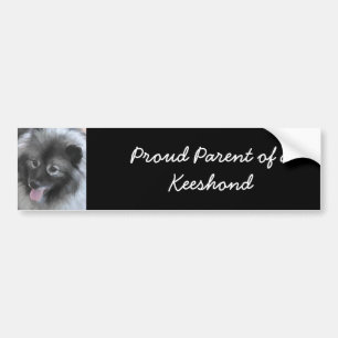 Pegatina Para Coche Pintura de Keeshond Bailey - Arte de perros origin