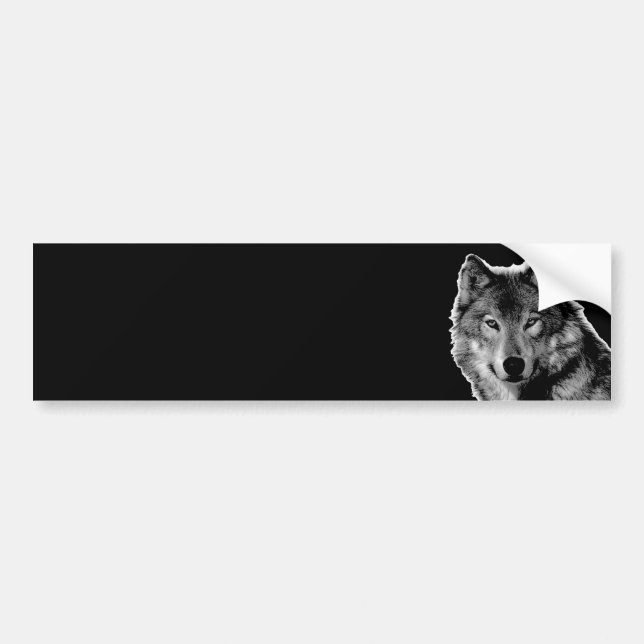 Pegatina Para Coche Pintura de Lobo Blanco y Negro (Frente)