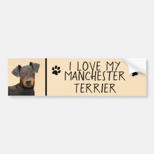 Pegatina Para Coche Pintura de Manchester Terrier Arte Animal Original