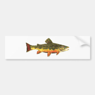 Pegatina Para Coche Pintura de peces de trucha rota