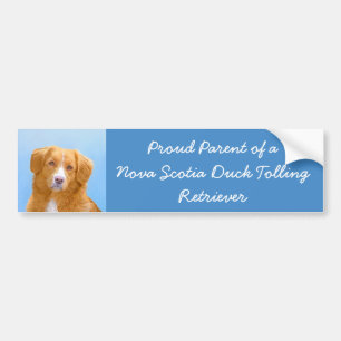 Pegatina Para Coche Pintura de perro de nova Scotia