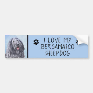 Pegatina Para Coche Pintura de perro pastor de Bergamasco - Perro orig
