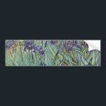 Pegatina Para Coche Pintura impresionista de Van Gogh Irises<br><div class="desc">Vincent Van Gogh Irises en Saint Remy - Irises de Vincent Van Gogh es un maravilloso cuadro impresionista de uno de los principales artistas impresionistas de todos los tiempos. El jardín del iris está lleno de color y emoción, a medida que los iris morados salen de sus tallos y hojas...</div>