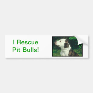 Pegatina Para Coche Pitbull