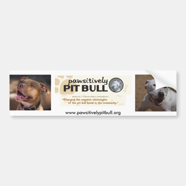 Pegatina Para Coche Pitbull de Pawsitively (Frente)