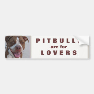 Pegatina Para Coche Pitbull Juega conmigo