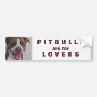 Pegatina Para Coche Pitbull Juega conmigo