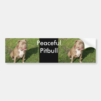 Pegatina Para Coche Pitbull pacífico
