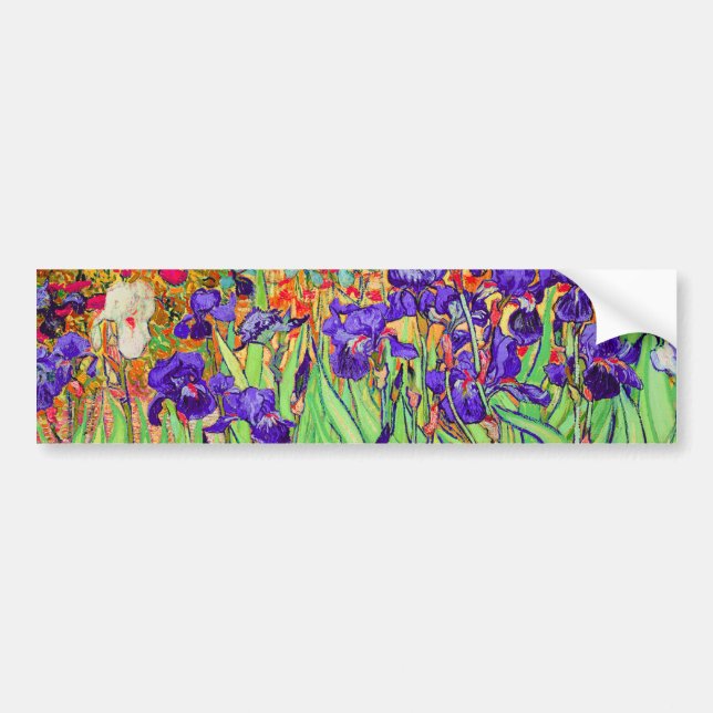 Pegatina Para Coche PixDezines van gogh iris/st. remo (Frente)