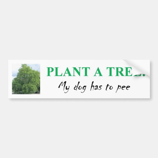 PEGATINA PARA COCHE PLANTE UN ÁRBOL (Frente)