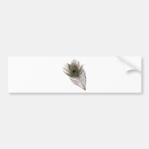 Pegatina Para Coche Pluma de pavo real