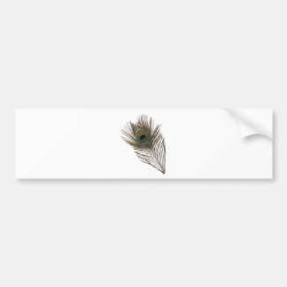 Pegatina Para Coche Pluma de pavo real