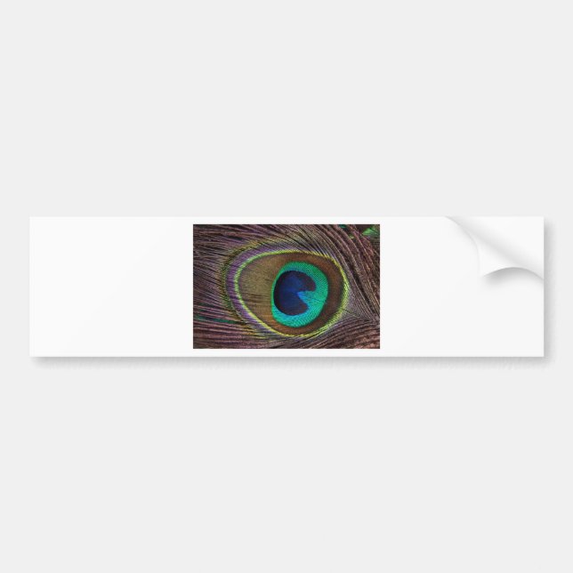 Pegatina Para Coche plumas de pavo real (Frente)