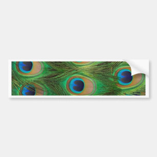 Pegatina Para Coche Plumas del pavo real - Peafowl