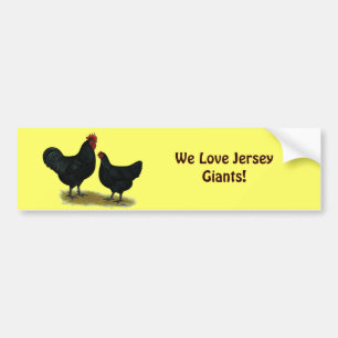 Pegatina Para Coche Pollos de Jersey Giant