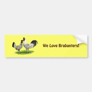 Pegatina Para Coche Pollos poner crema de Brabanter