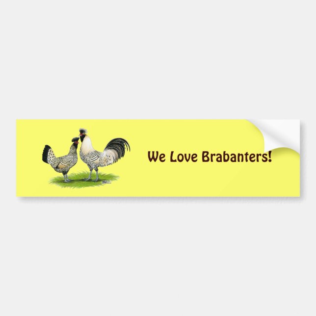 Pegatina Para Coche Pollos poner crema de Brabanter (Frente)