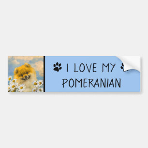 Pegatina Para Coche Pomerania en pintura de Daisies - Arte de perro or