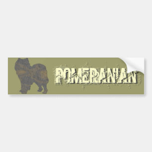 Pegatina Para Coche Pomeranian