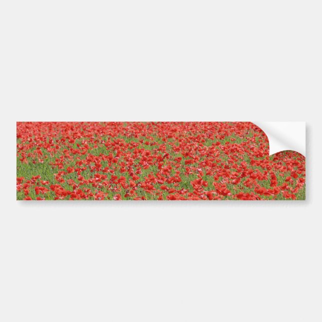 Pegatina Para Coche ¡Poppies - miles! (Frente)