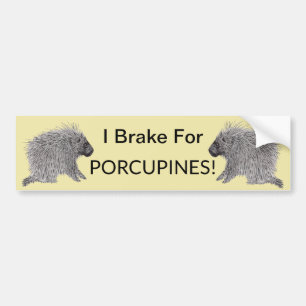 Pegatina Para Coche Porcupina