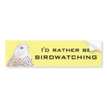 Preferiría Estar Vigilando Aves