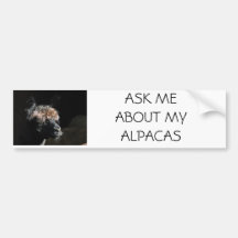 PREGUNTARME SOBRE MIS ALPACAS