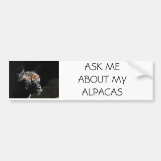 PEGATINA PARA COCHE PREGUNTARME SOBRE MIS ALPACAS