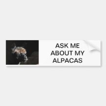 PREGUNTARME SOBRE MIS ALPACAS