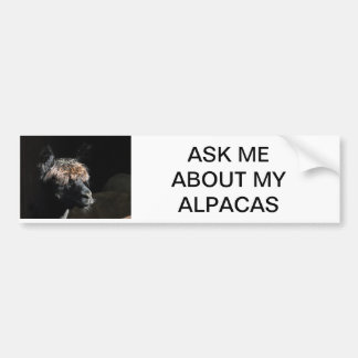 PEGATINA PARA COCHE PREGUNTARME SOBRE MIS ALPACAS