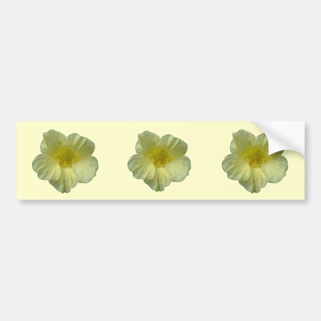 Pegatina Para Coche Pretty Natsurtium Flower Bumper Sticker (Frente)