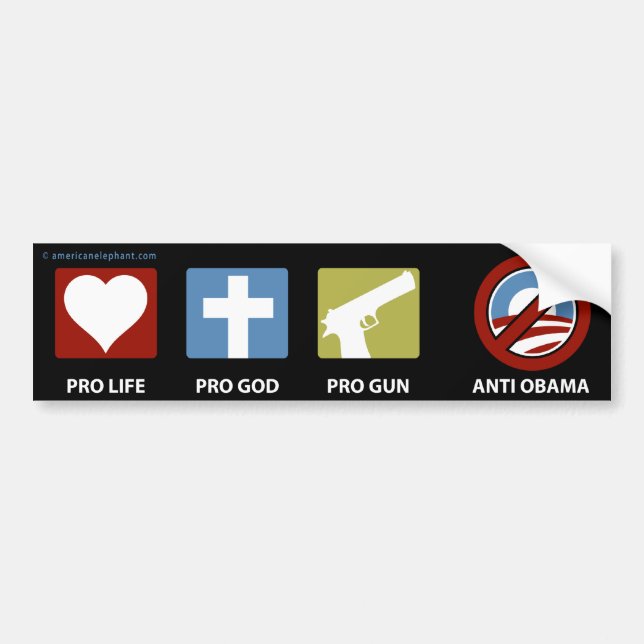 Pegatina Para Coche Princples contra Obama (Frente)