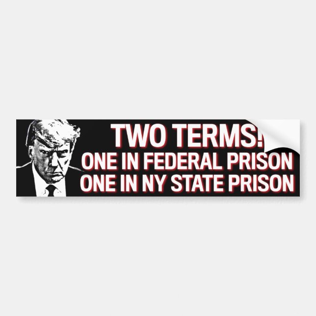 Pegatina Para Coche Prisión Trump de dos términos Mugshot Anti-Trump 2 (Frente)