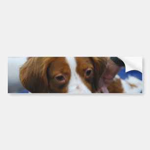 Pegatina Para Coche Producto del personalizar