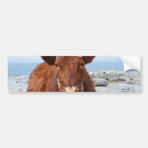 Pegatina Para Coche Producto del personalizar