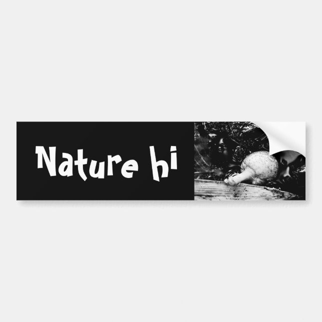 Pegatina Para Coche protector oscuro (Frente)