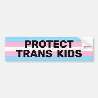 Pegatina Para Coche Proteger a los niños trans | Bandera transversal