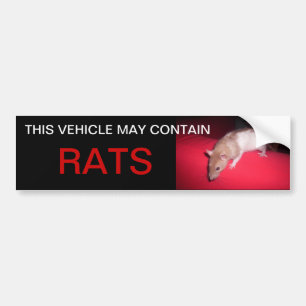 Pegatina Para Coche puede contener ratas