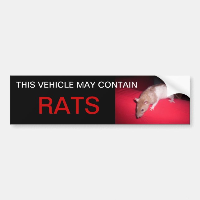 Pegatina Para Coche puede contener ratas (Frente)