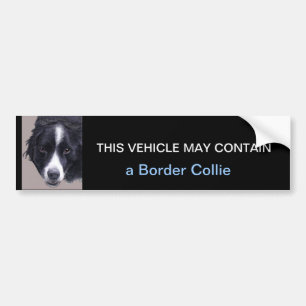 Pegatina Para Coche puede contener un border collie