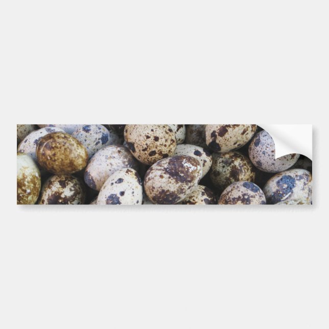 Pegatina Para Coche Quail Eggs (Frente)