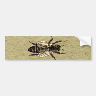 Pegatina Para Coche Queen Bee Wildlife Bug Insect