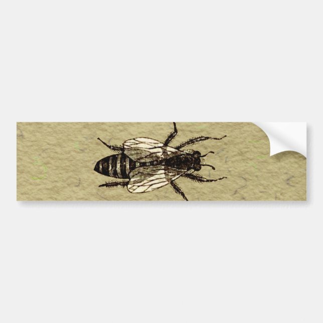 Pegatina Para Coche Queen Bee Wildlife Bug Insect (Frente)