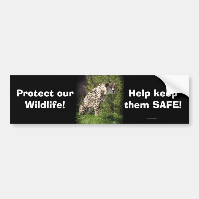 Pegatina Para Coche Quetah Wild Cat Animal Lover Bumpersticker (Frente)