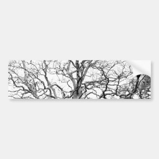 Pegatina Para Coche Ramas de árbol
